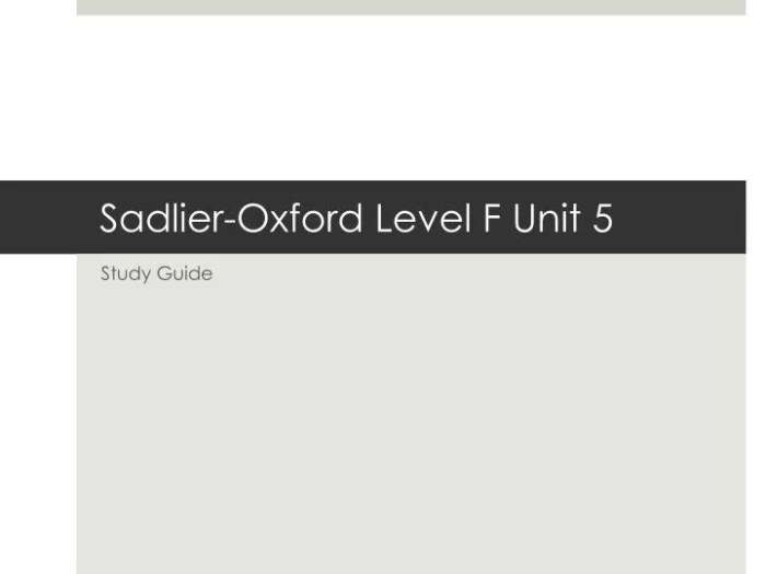 Sadlier level f unit 11