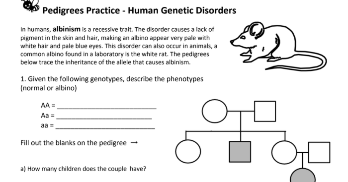 Pedigree practice human genetic disorders