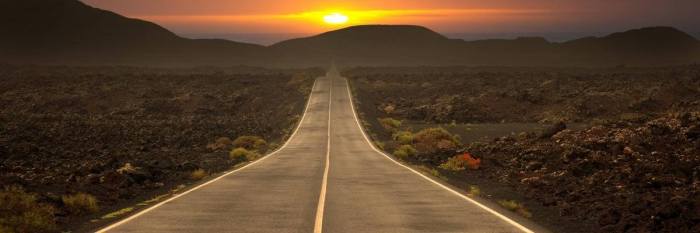 The road by nancy fotheringham cato