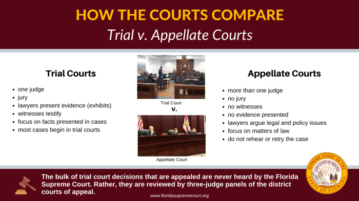 Court chart appellate process structure litigation system florida courts appeals review federal appeal jurisdiction trial types law charts enforcement bushell