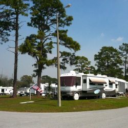 Shady brook peaches sumterville florida