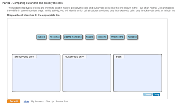 Drag each cell structure to the appropriate bin